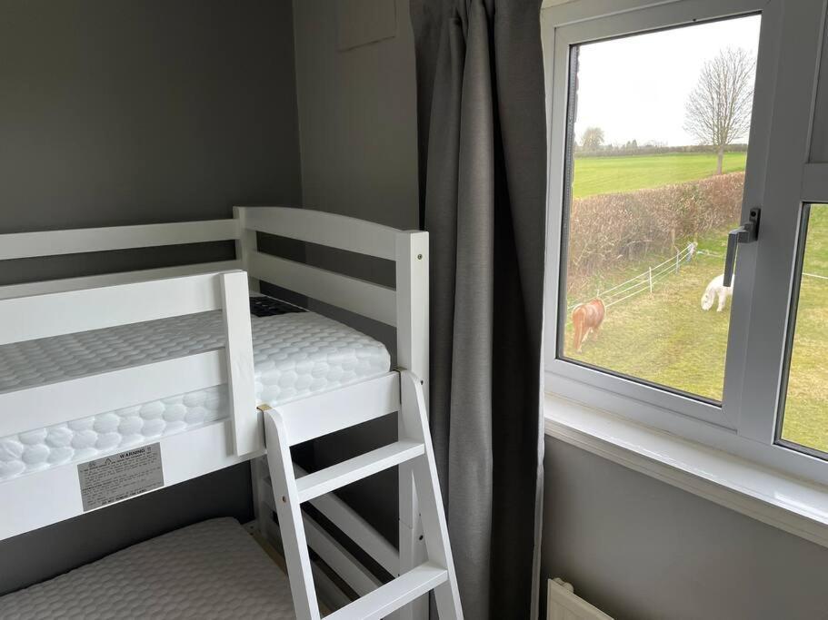 Little Harries - Surrounded By Open Fields Ripon